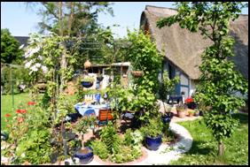 Seitenansicht Rosenlaube/Terasse